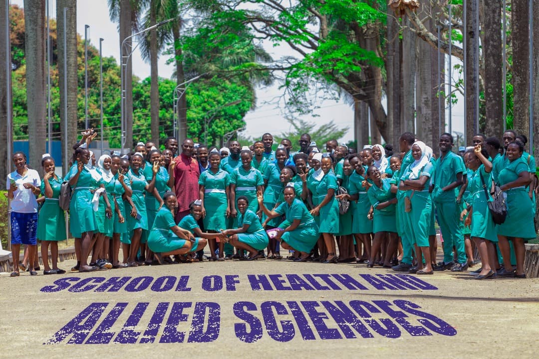 Hero Slide without overlay